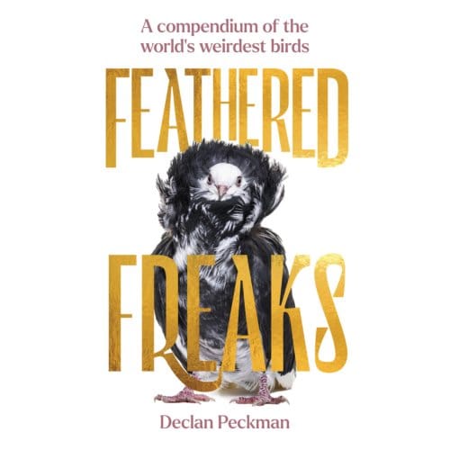 Feathered Freaks - Declan Peckman