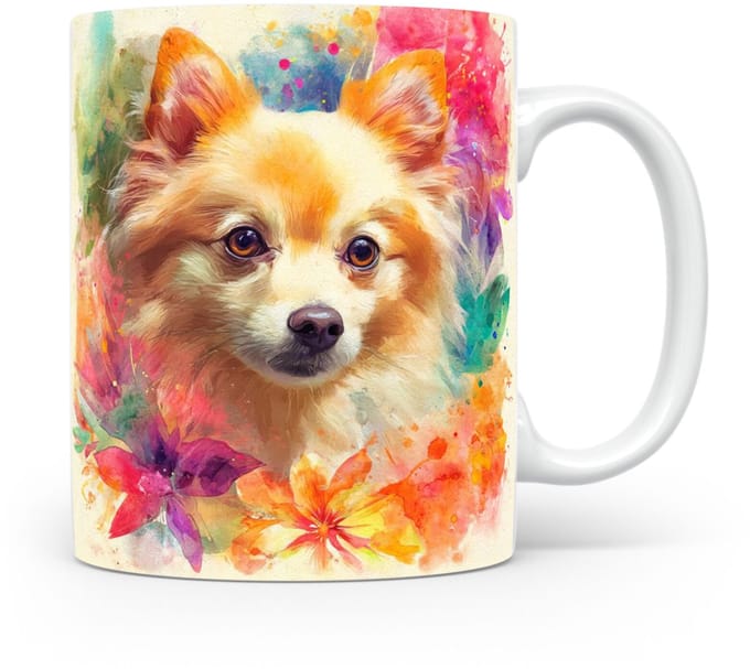 Beker Dwergspitz (Pomeranian)