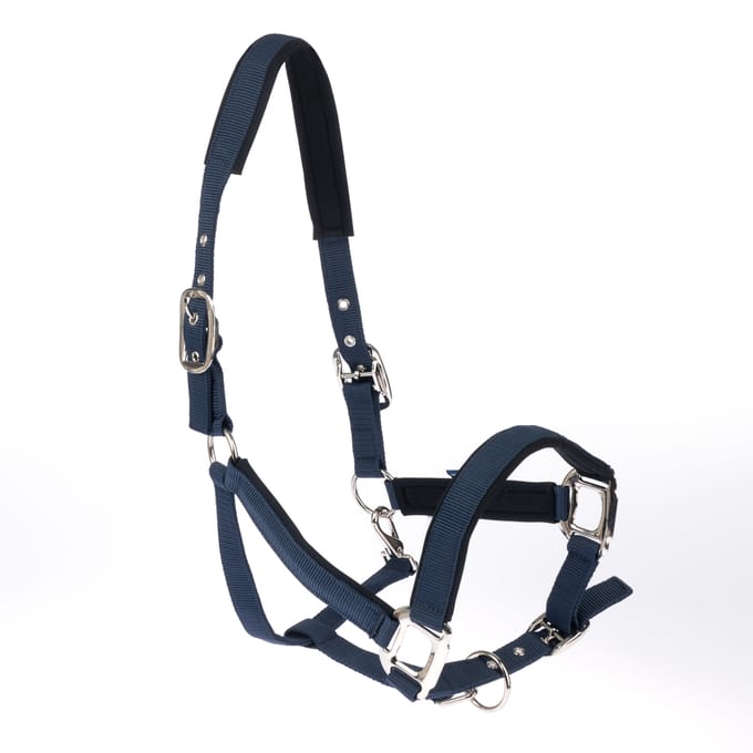 Nomad Tales halster met neopreen vulling, marineblauw ponypaard