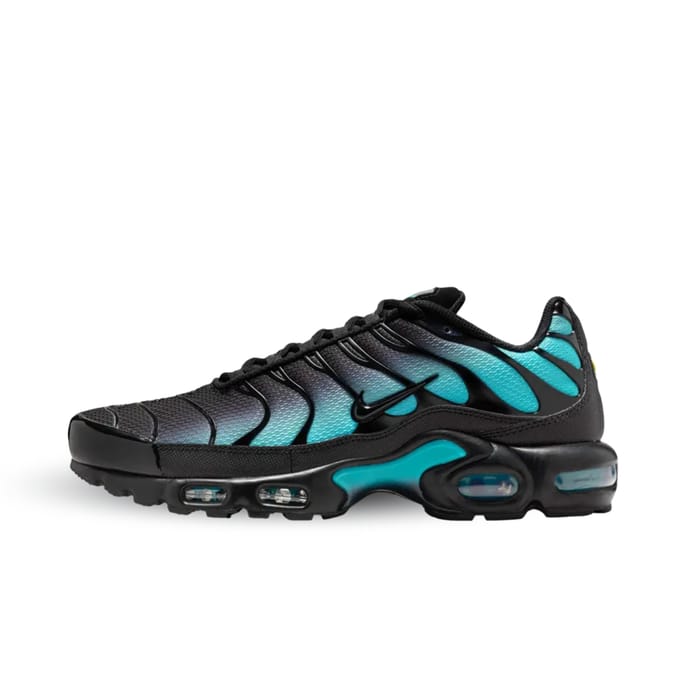 Nike Air Max Plus Black Dusty Cactus