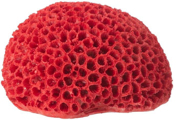 J-Line decoratie Koraal - polyresin - rood - small - 3 stuks
