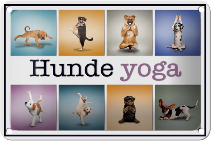 Blechschild Hund 18x12cm Hunde Yoga Wanddeko bunt