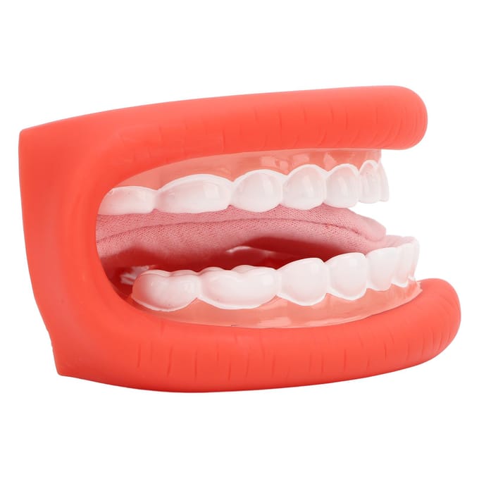 Mondpop met Tong Tanden Model Borstel voor Spraakherstel Jongens Meisjes Educatief Gereedschap beige