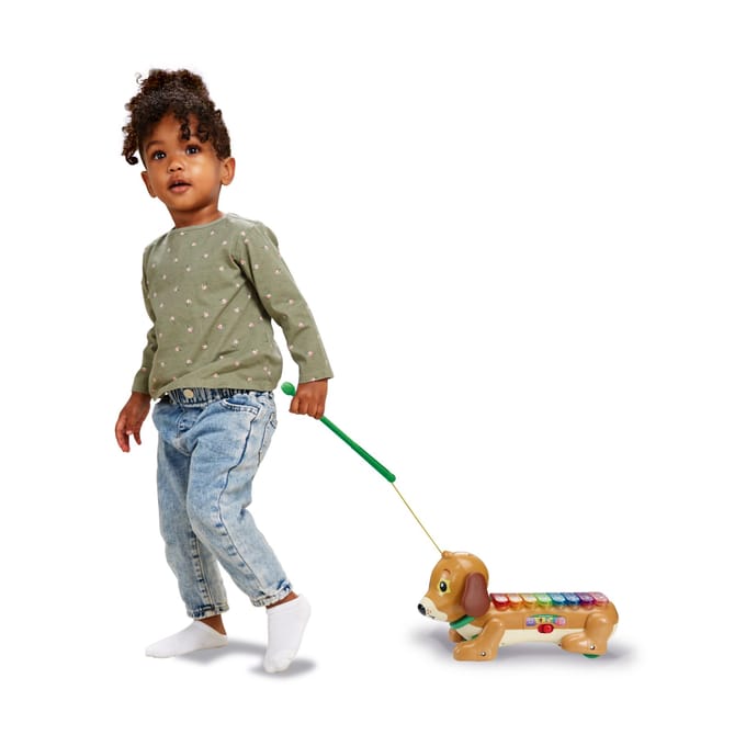 Premium Collection Vtech Baby Timmie Teckel  Xylofoon