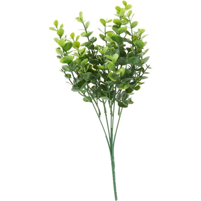 Eucalyptus pluk "Mia"