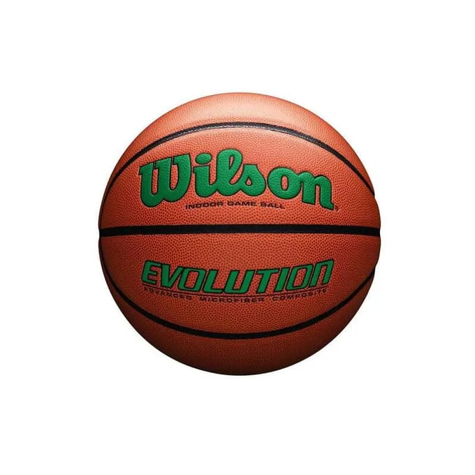 Basketbal Wilson Evolution 295 Game ball GR