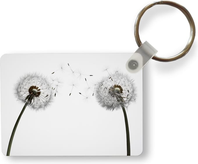 Sleutelhanger - Illustratie - Zaden - Paardenbloem - Uitdeelcadeautjes - Plastic