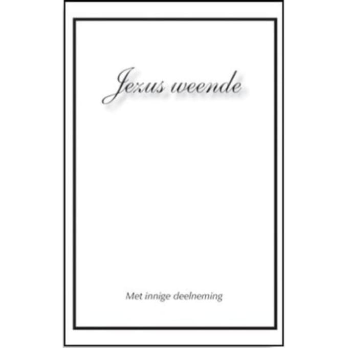 Jezus Weende - D.J. Budding