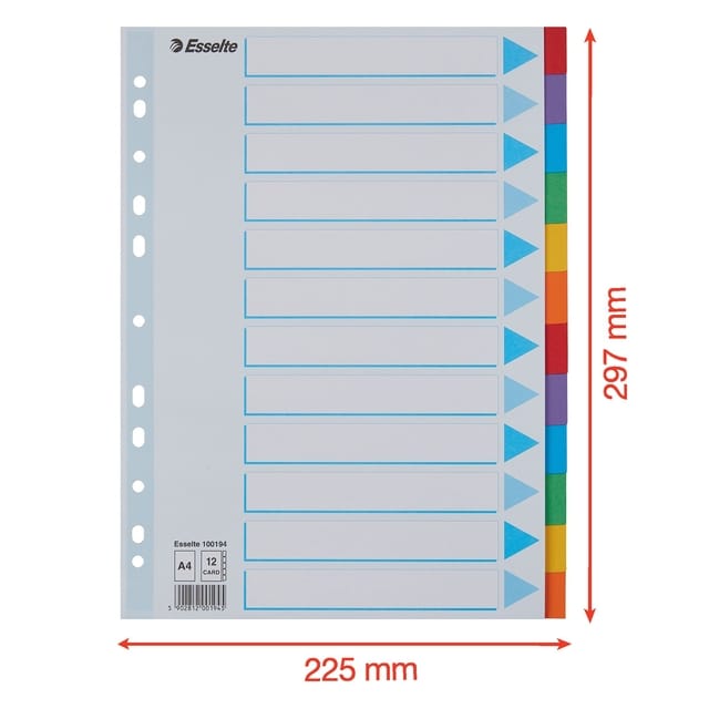 Tabbladen Esselte Standaard A4 12-delig karton 11-rings met voorblad assorti