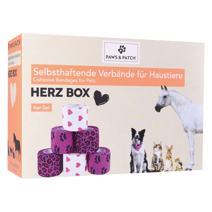 6x PAWS & PATCH zelfklevende gipsdoos hart hond