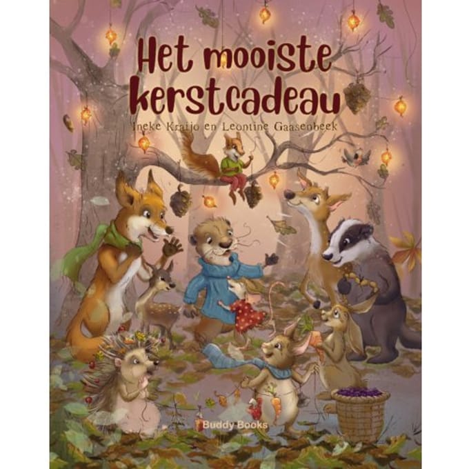 Het Mooiste Kerstcadeau - Ineke Kraijo