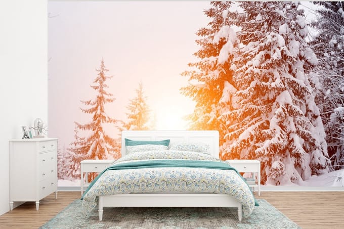 Behang - Fotobehang Zon - Bomen - Sneeuw - Breedte 295 cm x hoogte 220 cm