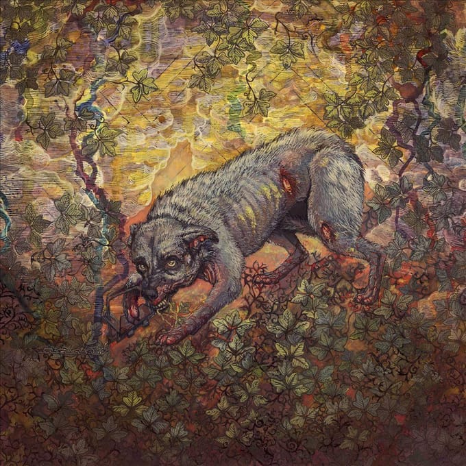 What Passes For Survival - Pyrrhon