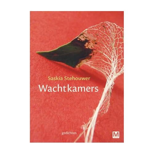 Wachtkamers - Saskia Stehouwer