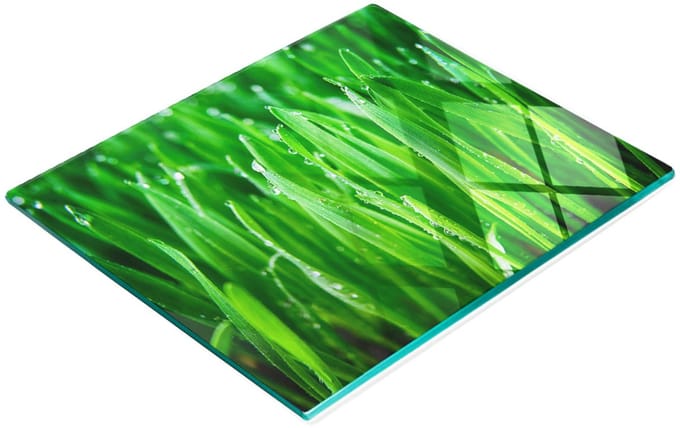 Decoratieve glazen serveerplank met afbeelding van gras voor het serveren van snacks, 60x52 cm
