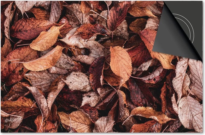 Inductie beschermer 76x51,5 - afdekplaat inductie mat - Dietrix Kookplaat beschermer - Base - Herfst - Herfst bladeren