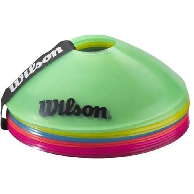 Markeerconus Wilson