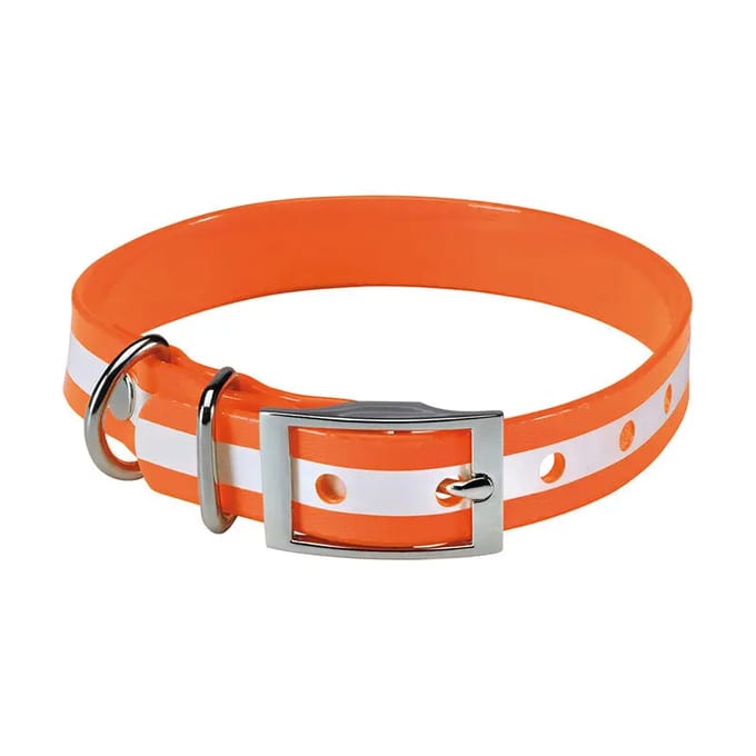 Fosforescerende hondenhalsband Stepland