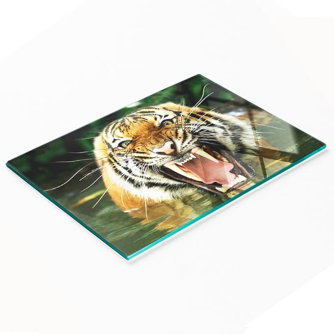 Gehard multifunctioneel decoratief bord van glas met afbeelding van een brullende tijger, 80x52 cm