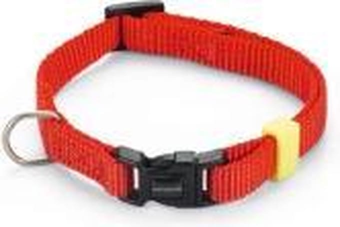 Beeztees nylon halsband Uni rood 20 - 30 cm x 10 mm
