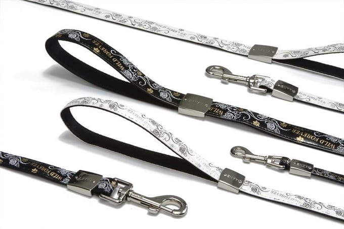 Beeztees Envy looplijn hond Wild forever - Wit - 200 cm