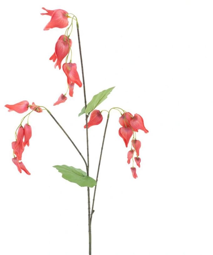Erutan avon - Dicentra spray red 96 cm
