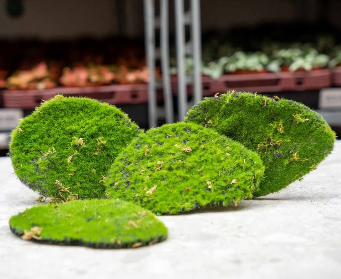 Mosplaat – Groen mos – Set van 4 – Kunstmos