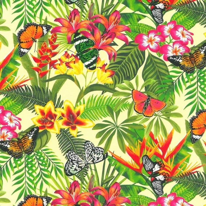 Inpakpapier Tropical – 50 cm × 200 m – 80 g/m² Gecoat