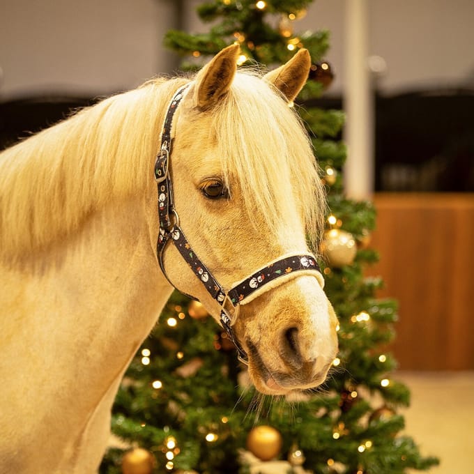 Qhp Halster Qhp Kerst Sneeuwpop Donkerblauw