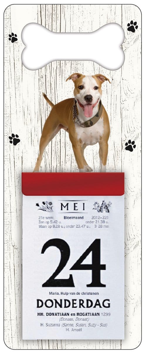 Scheurkalender 2024 Hond: Amerikaanse Staffordshireterrier