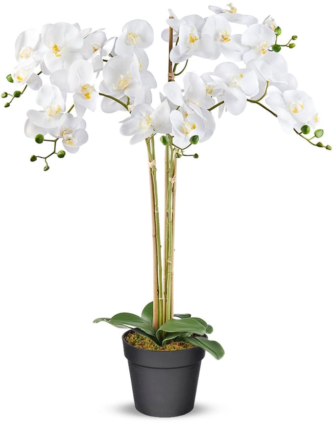 Kunstplant Orchidee / Phalaenopsis XXL 5-tak wit H90cm - HTT Decorations kunstplanten