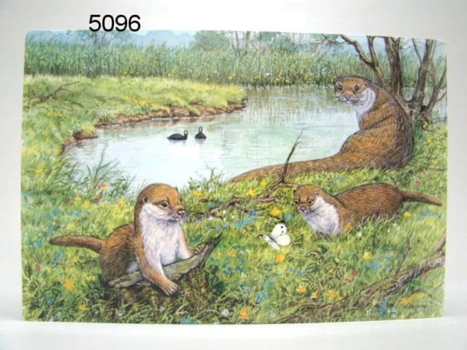Geharo Placemat otters - 41 x 29 cm - gelamineerd