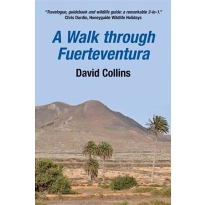 A Walk Through Fuerteventura - David Collins