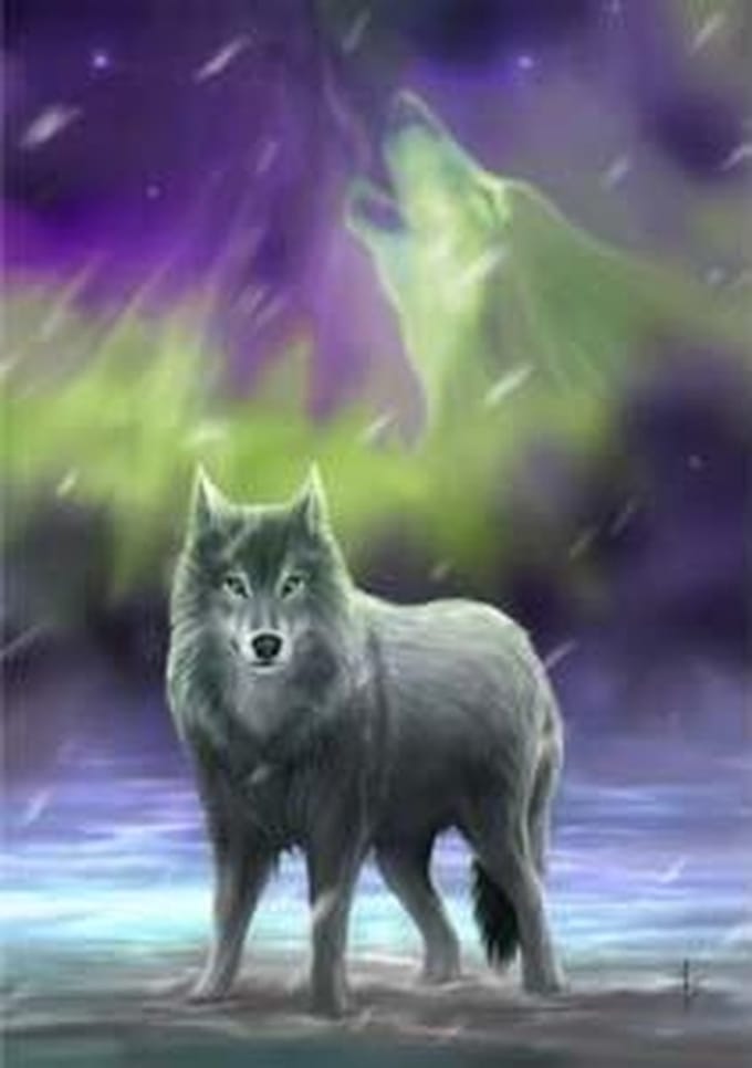 Anne Stokes Wenskaart Aura Wolf‎‎