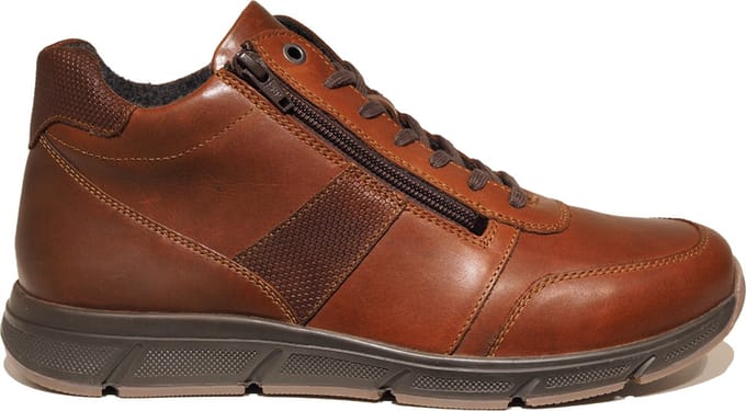 Solidus 67007 Bruin