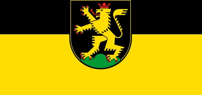Vlag Heidelberg 100x150cm