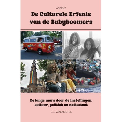 De Culturele Erfenis Van De Babyboomers - E.J. van Amstel