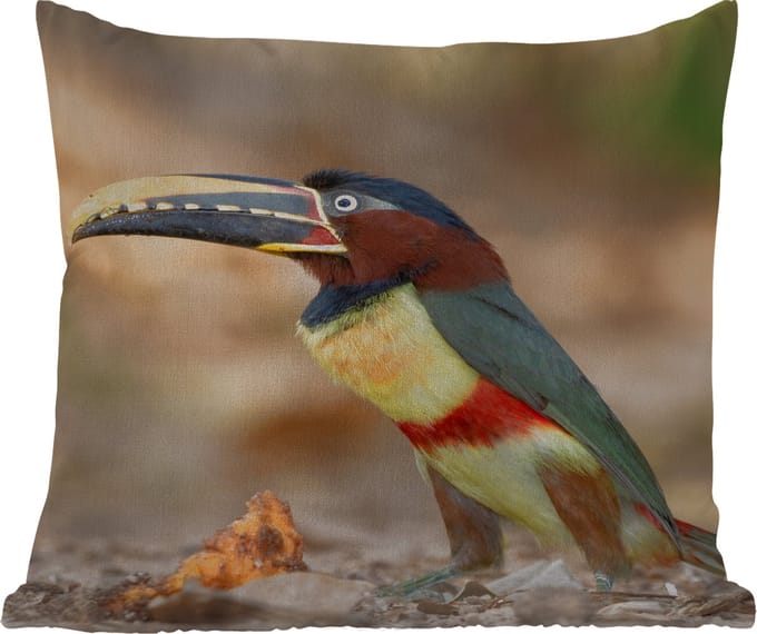 Tuinkussen - Vogel - Toekan - Veren - Natuur - 40x40 cm - Weerbestendig