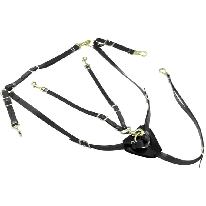 Jachtcollier met martingale in biothaan Lakota