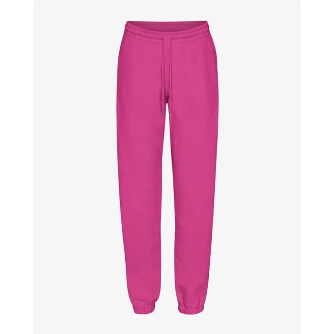 Jogging Colorful Standard Magenta Blaze