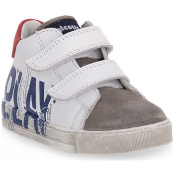 Sneakers Falcotto 1N31 TAHOLE VL