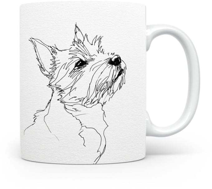 Beker Norwich Terrier