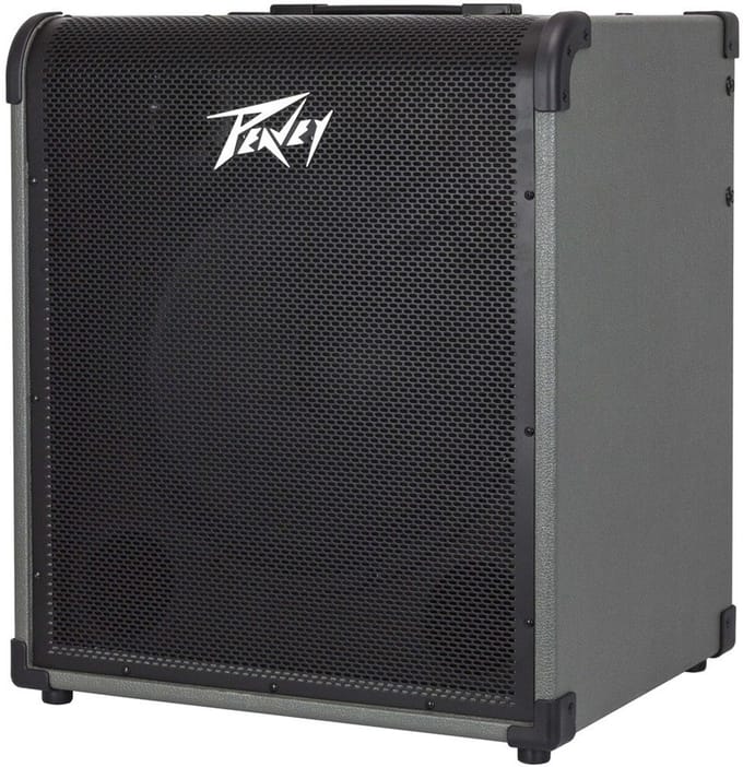 Peavey MAX 250 1 x 15 inch basgitaarversterker