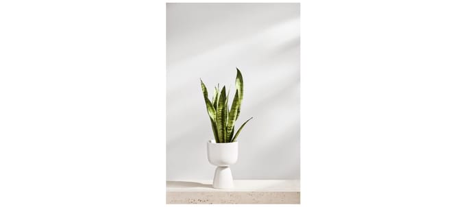 Iittala Nappula Bloempot - wit - 26 x 15,5 cm