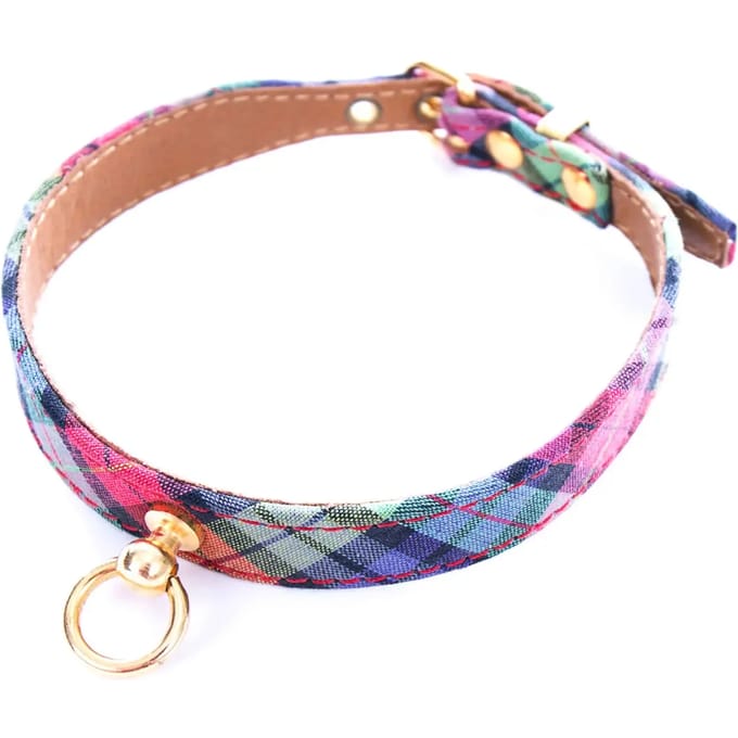 Hondenhalsband Martin Sellier