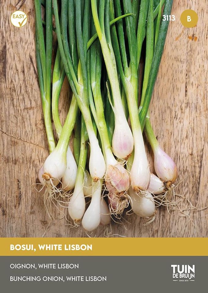 Tuin de Bruijn Bosui White Lisbon – Lente-ui – 4 g