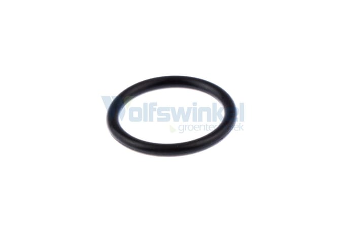 O-ring