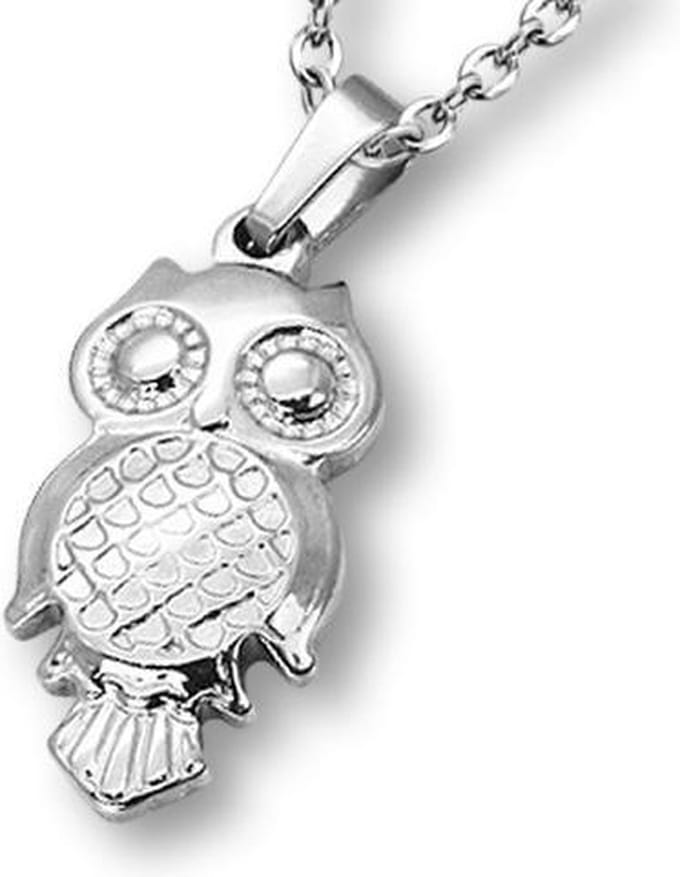 Amanto Ketting Diezz - 316L Staal - Uil - 28x14mm - 50cm