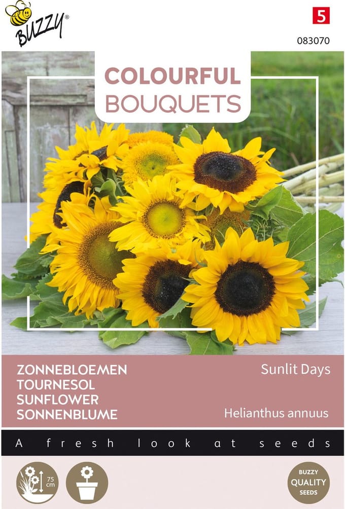 Buzzy Bloemzaad - Zonnebloemen Sunlit Days | Colorful Bouquets