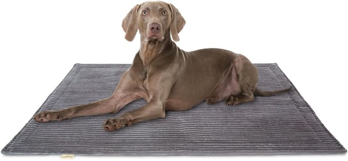 Knuffelwuff Cord Hondenkleed Timor 80x60cm Grijs